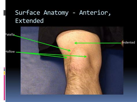 what is a patella evaluation